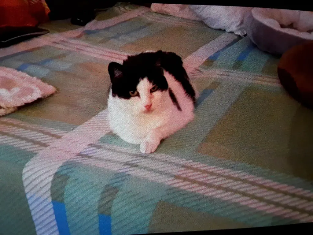 Condolence image of ❤️Deine Mutti und deine Oma ❤️ 