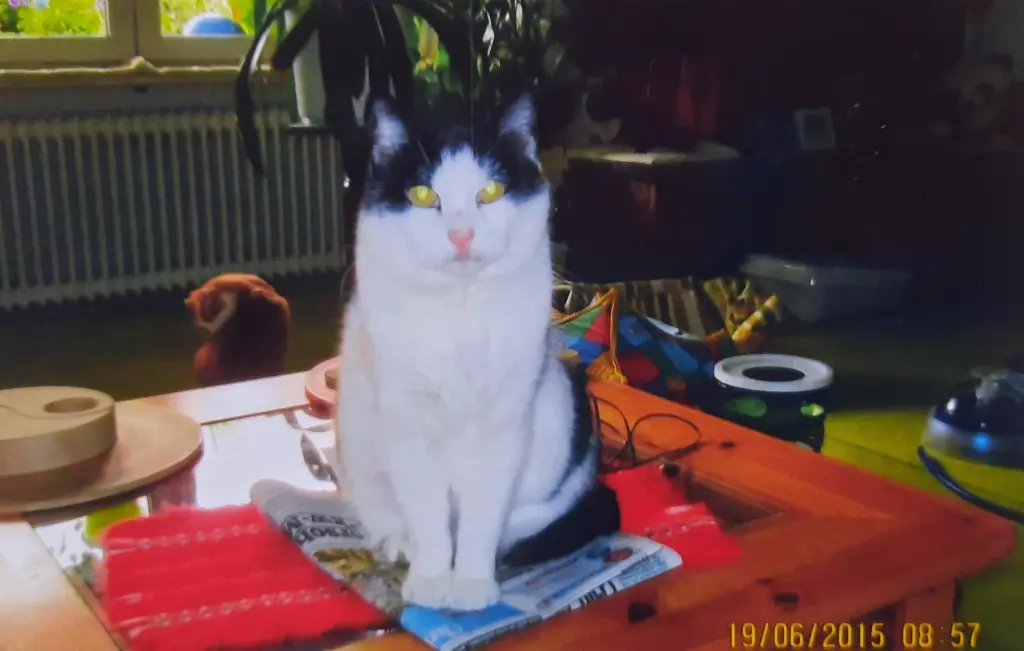 Condolence image of ❤️Deine Mutti Eike und Oma Edeltraud ❤️