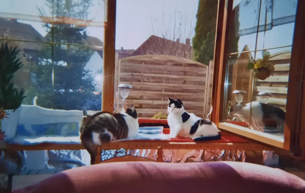 Condolence image of ❤️Deine Mutti Eike und Oma Edeltraud ❤️ 