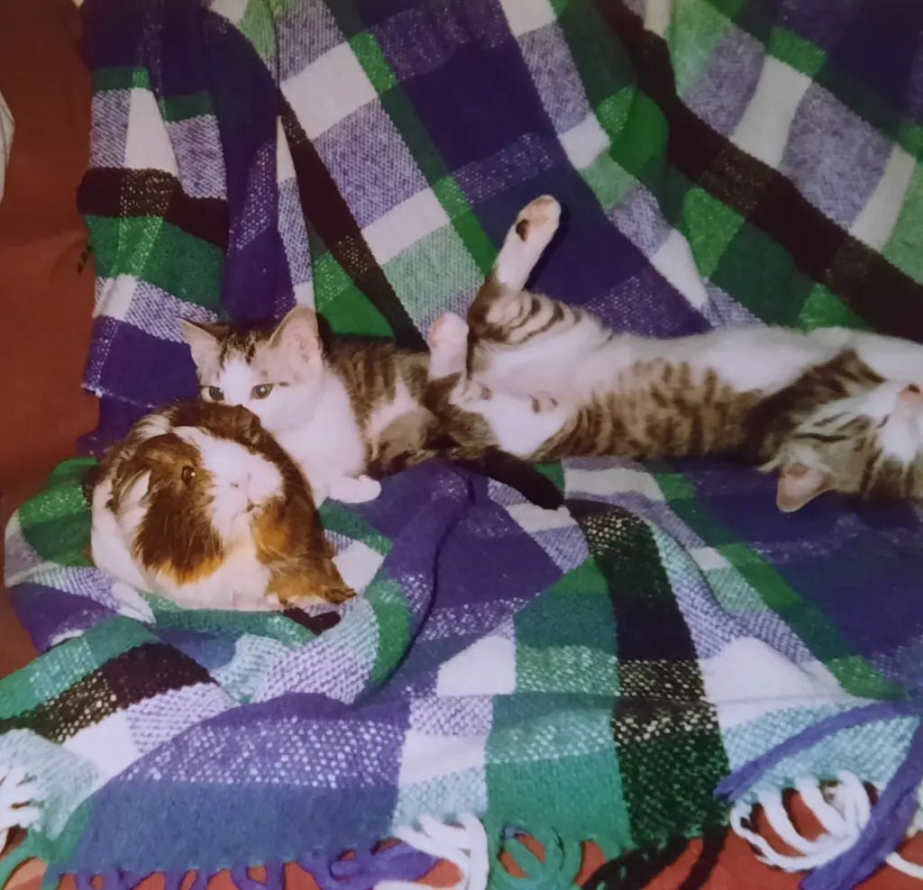 Condolence image of ❤️Deine Mutti Eike und Oma Edeltraud ❤️