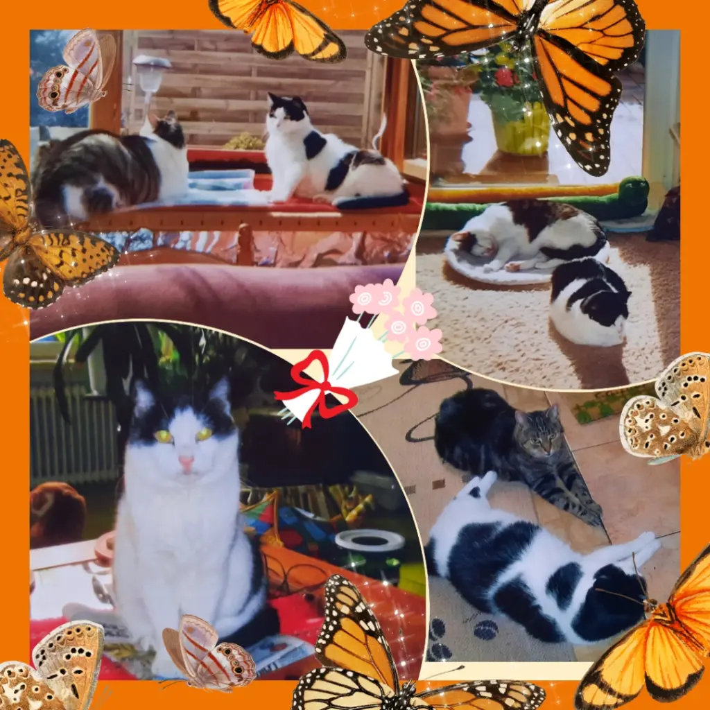 Condolence image of ❤️Deine Mutti Eike und Oma Edeltraud ❤️ 