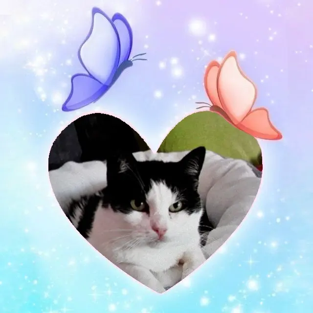 Condolence image of 5.Sternchen❤Gedenktag❤❤❤❤❤