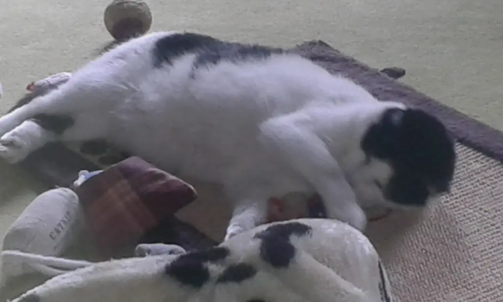 Condolence image of ❤️Deine Mutti und deine Oma ❤️ 