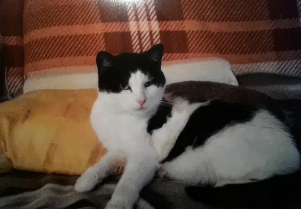 Condolence image of ❤️Deine Mutti und deine Oma ❤️ 