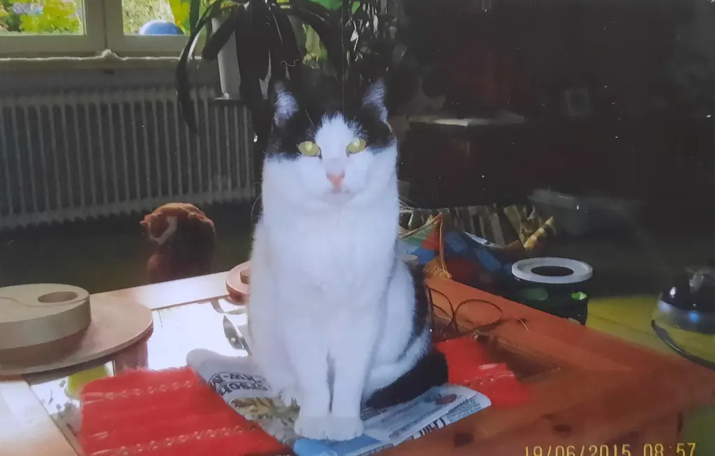 Condolence image of ❤️70 Mo❤️Deine Mutti und deine Oma ❤️ 