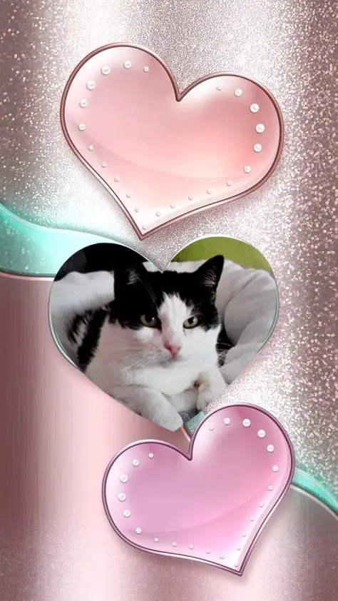 Condolence image of ❤️❤️❤️❤️❤️❤️❤️❤️❤️❤️❤️❤️