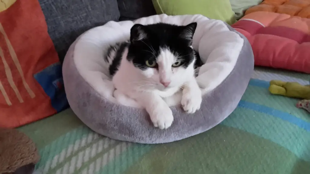 Condolence image of ❤️76 Mo❤️Deine Mutti und deine Oma ❤️