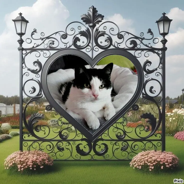 Condolence image of Tanja mit Timmy im Herzen 