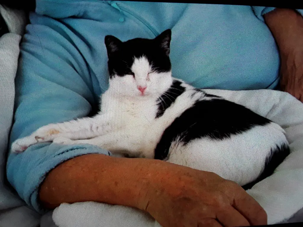 Condolence image of ❤️78 Mo❤️Deine Mutti und deine Oma ❤️ 