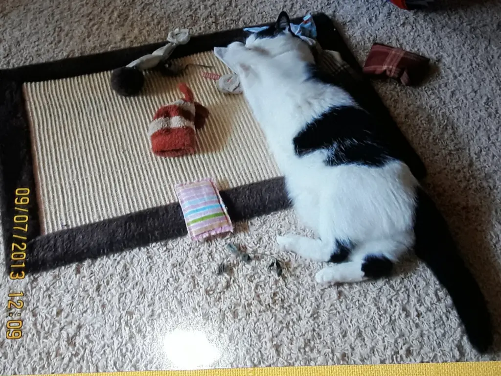 Condolence image of ❤️81 Mo❤️Deine Mutti und deine Oma ❤️ 