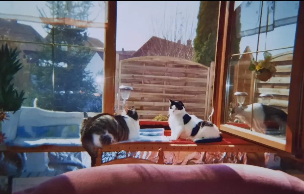 Condolence image of ❤️83 Mo❤️Deine Mutti und deine Oma ❤️ 