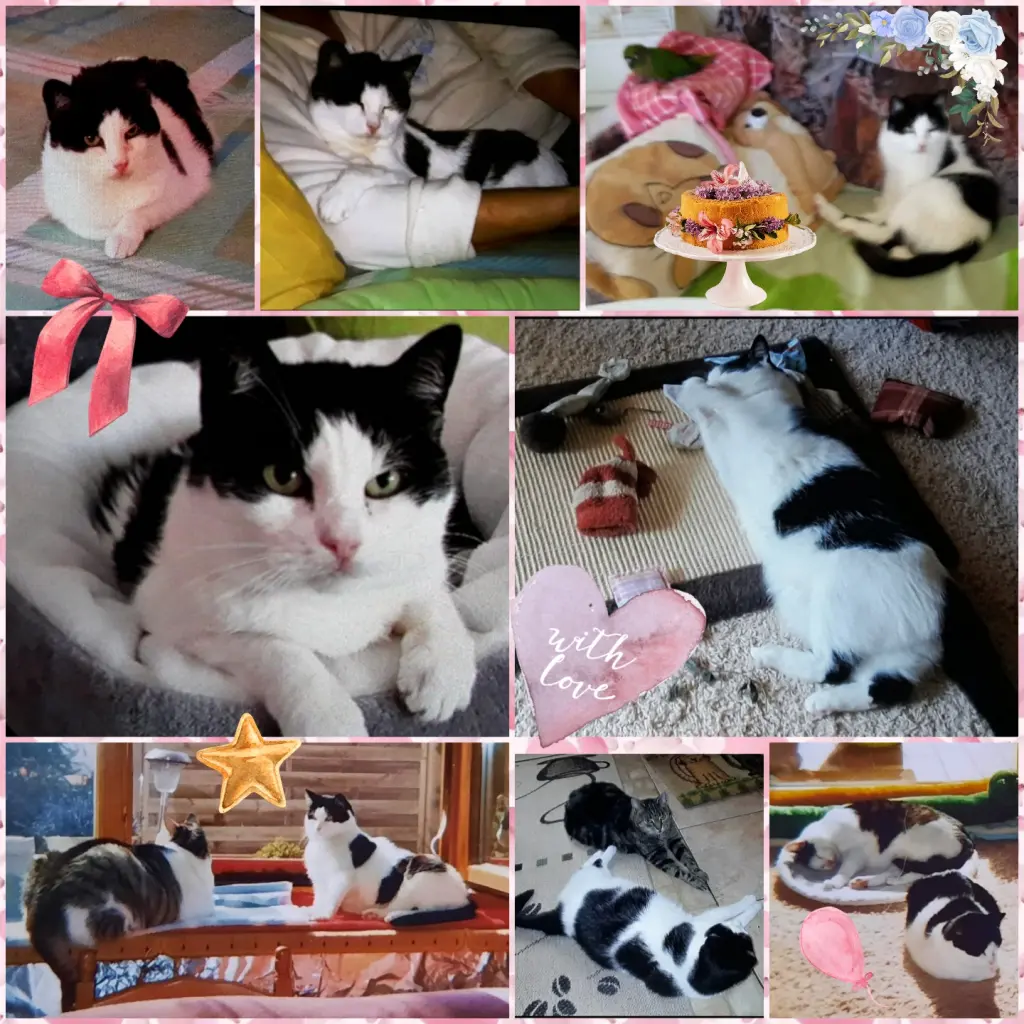 Condolence image of ❤️1500 Röschen ❤️Deine Mutti und deine Oma ❤️ 