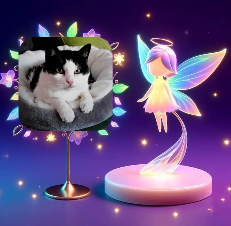 Condolence image of ❤️❤️❤️❤️❤️❤️❤️❤️❤️❤️❤️❤️