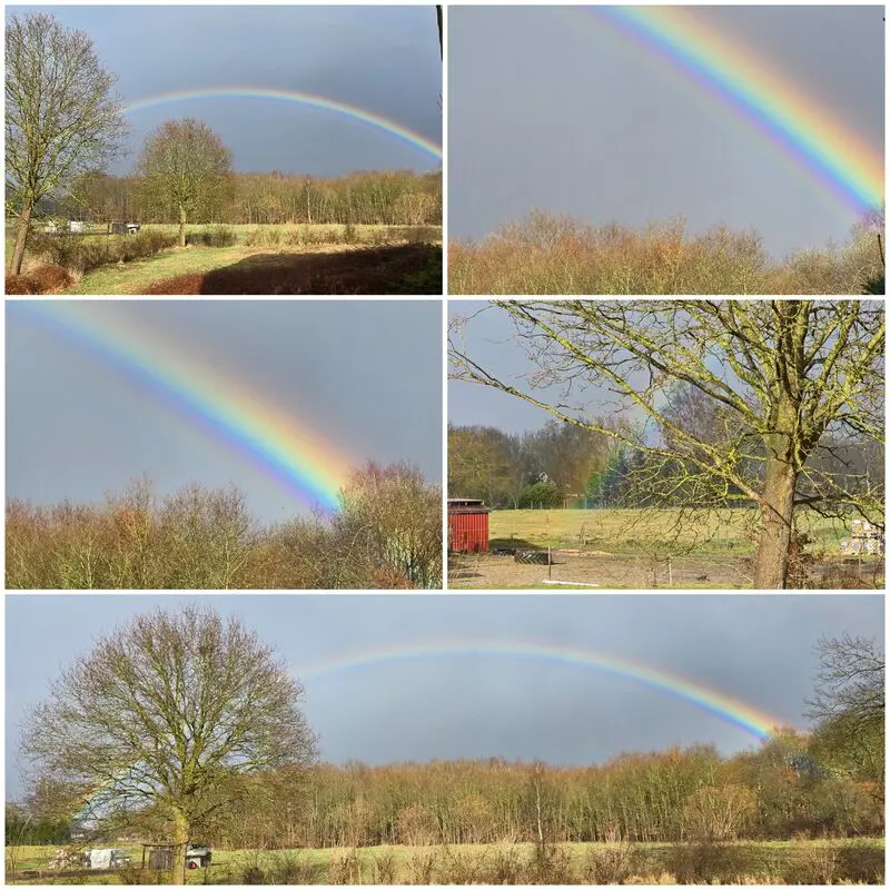 Condolence image of ❤️Deine Mutti und deine Oma ❤️ 
