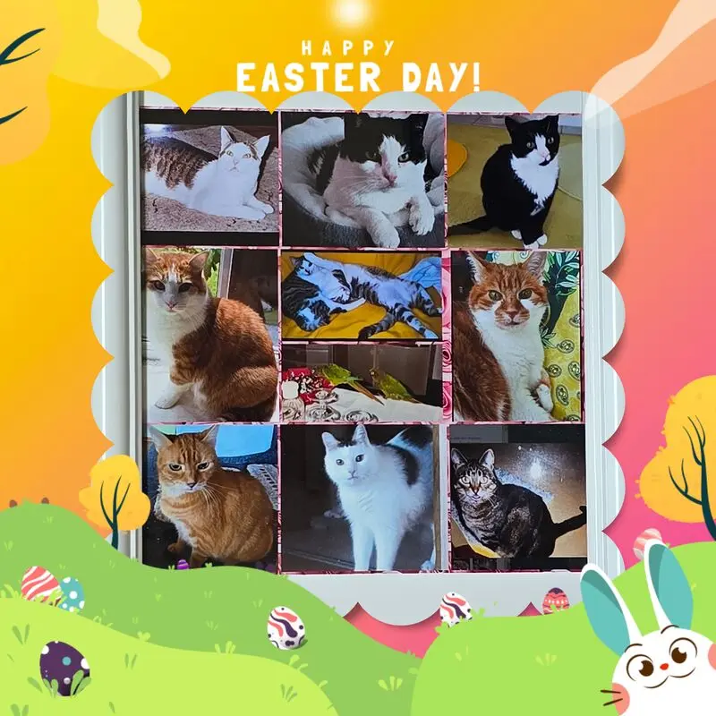 Condolence image of ❤️Zu Ostern ❤️ Deine Mutti und deine Oma ❤️ 