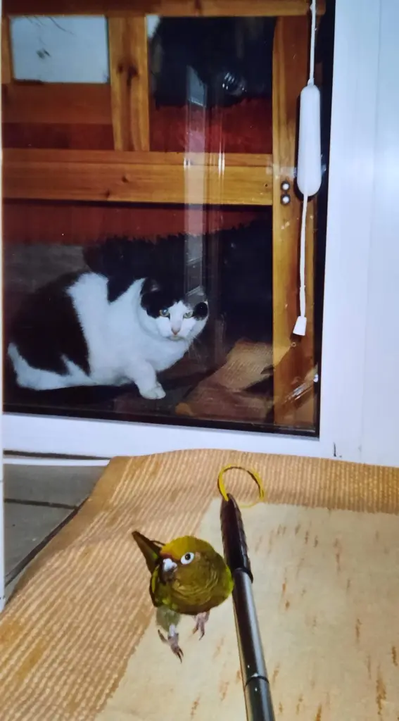 Condolence image of ❤️87 Mo❤️Deine Mutti und deine Oma ❤️ 