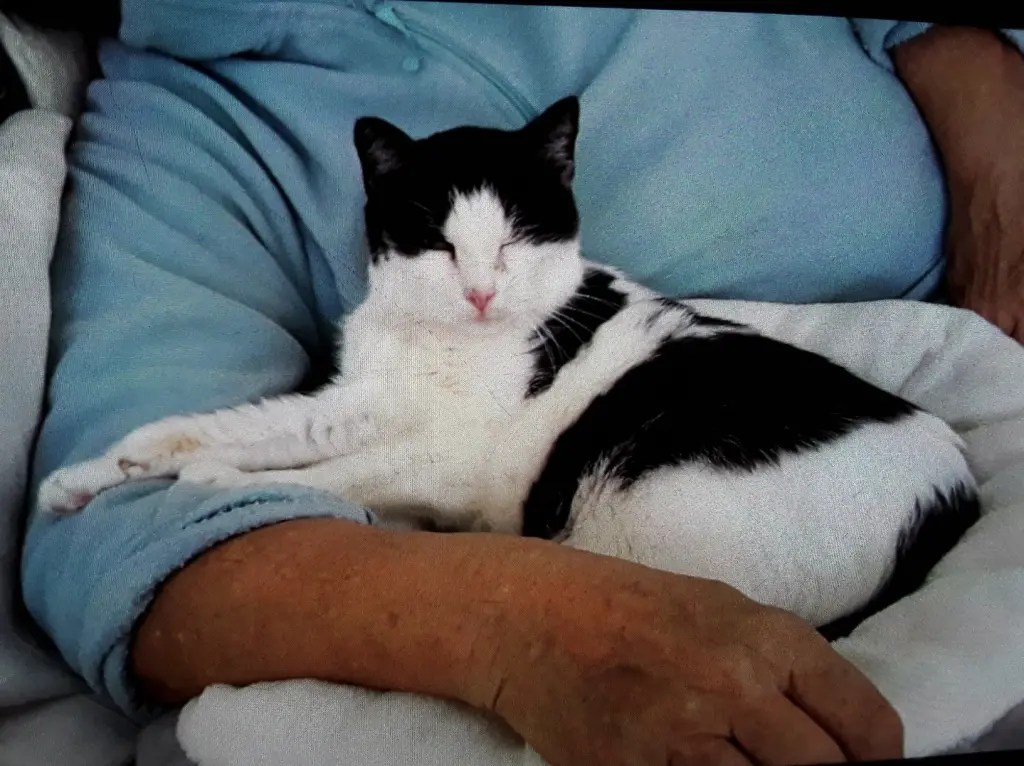 Condolence image of ❤️91 Mo❤️Deine Mutti und deine Oma ❤️ 