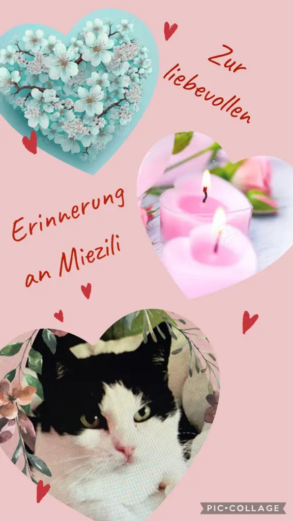 Condolence image of ❤️94 Mo❤️Deine Mutti und deine Oma ❤️