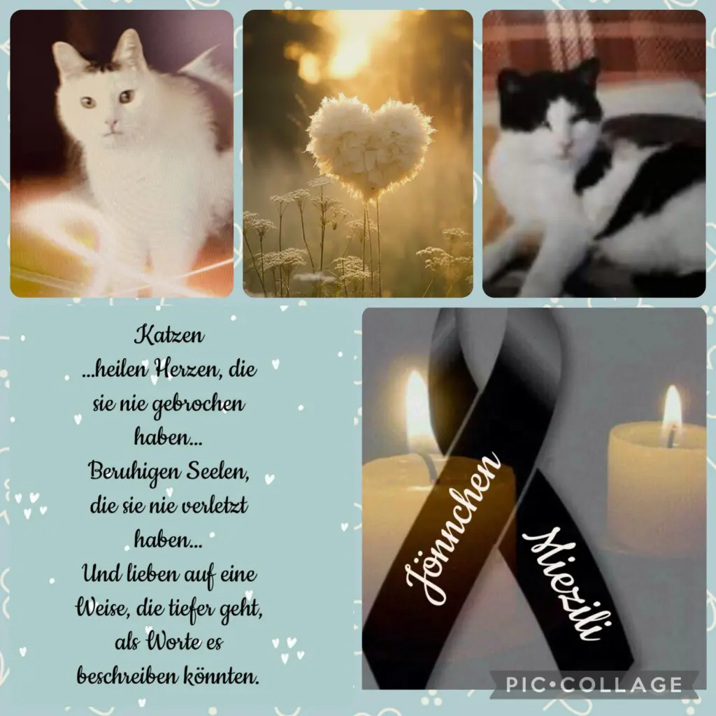 Condolence image of ❤️85 Mo❤️Deine Mutti und deine Oma ❤️