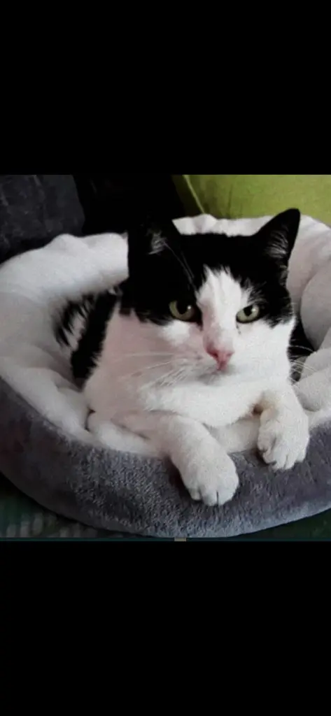 Condolence image of ❤️86 Mo❤️Deine Mutti und deine Oma ❤️