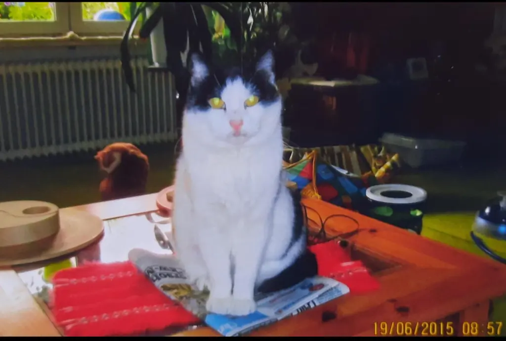 Condolence image of ❤️87 Mo❤️Deine Mutti und deine Oma ❤️