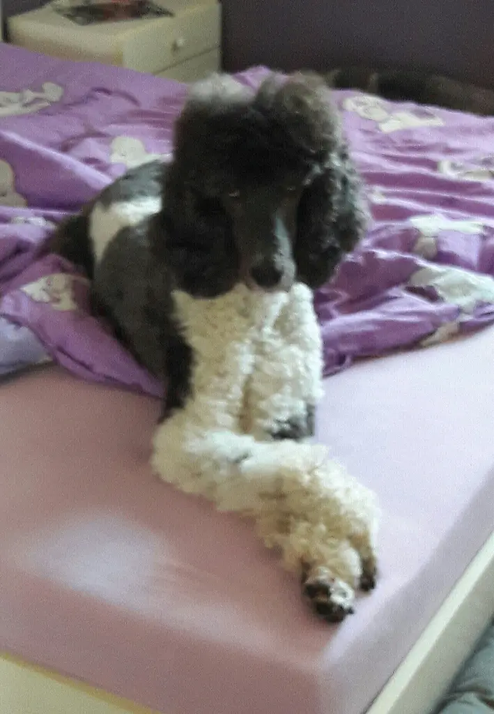 Condolence image of Ellen
