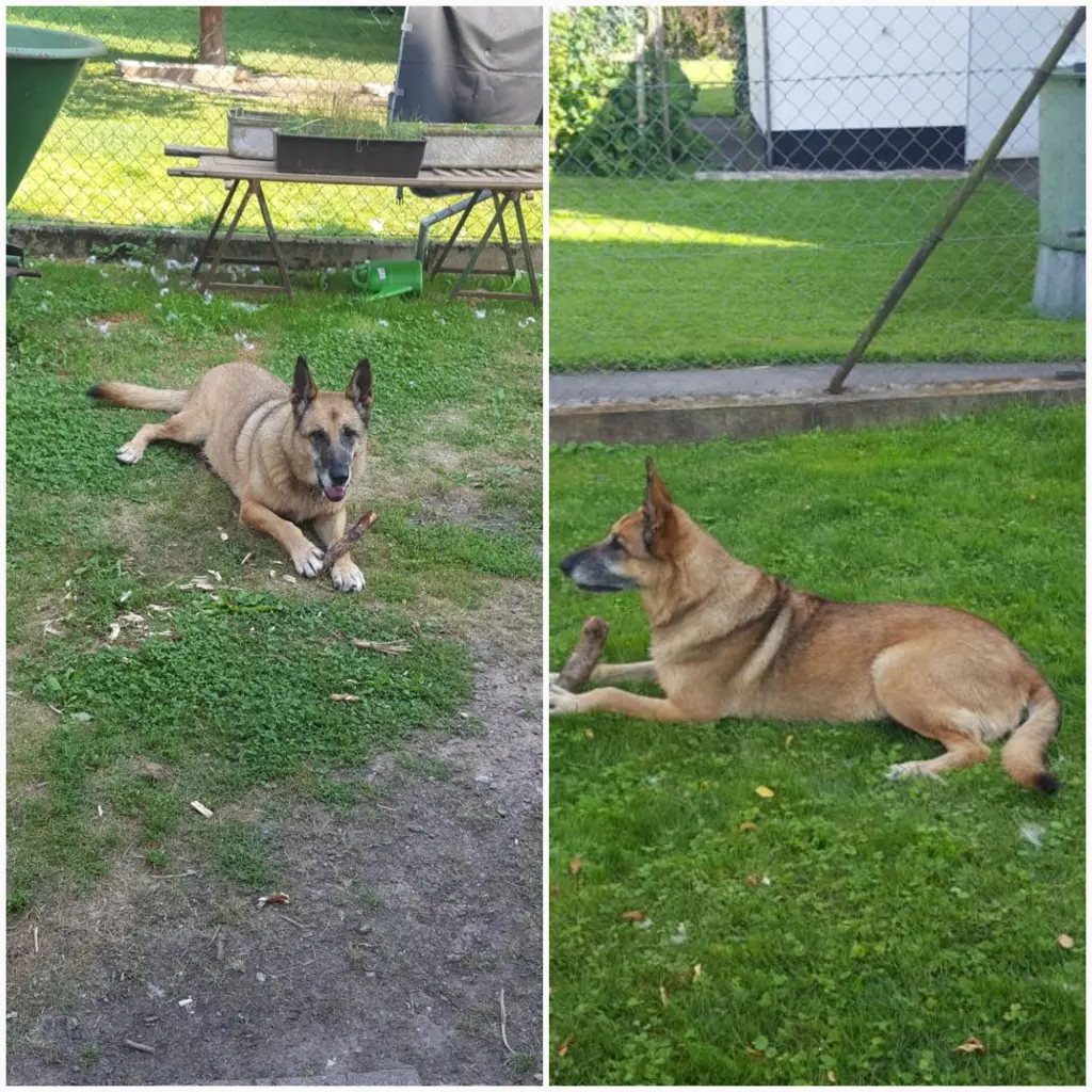 Andachtsbild von Claudia m. TARA im Herzen