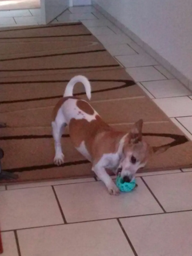 Condolence image of Bianca mit Jamie im Regenbogenland