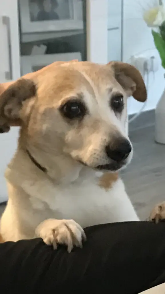 Condolence image of Beate