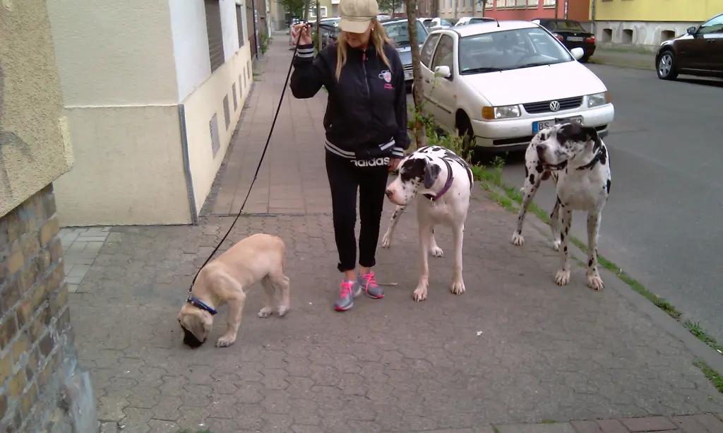 Condolence image of Daniela mit Sniper im Herzen