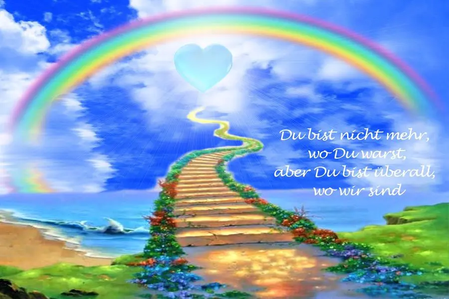 Condolence image of Michelle, dein Frauchen 