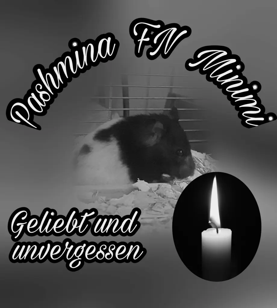 Condolence image of Michelle, dein Frauchen 
