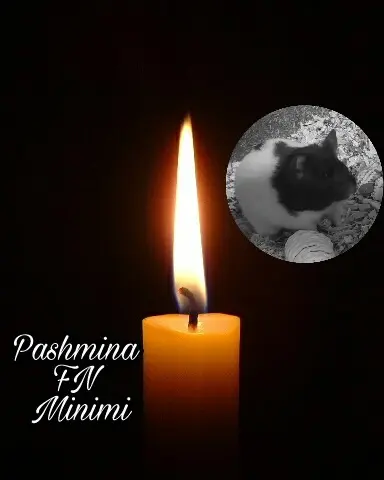 Condolence image of Helga