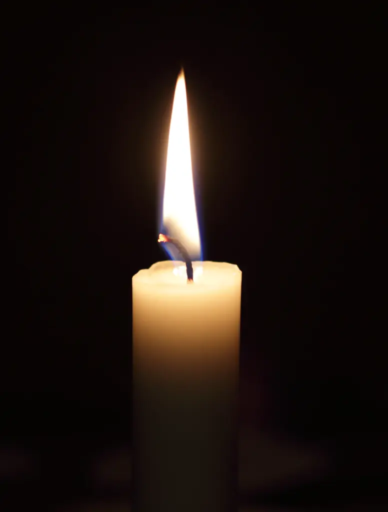 Condolence image of Michelle, dein Frauchen 