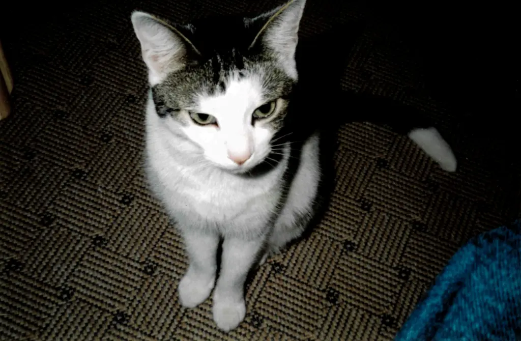 Condolence image of Gabi