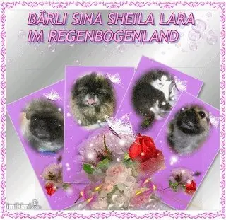 Image from meine zwei liebsten bärchen und prinzesin sheila