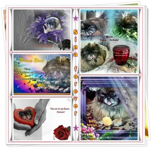 Image from mein allerliebstes Sternchen Sina