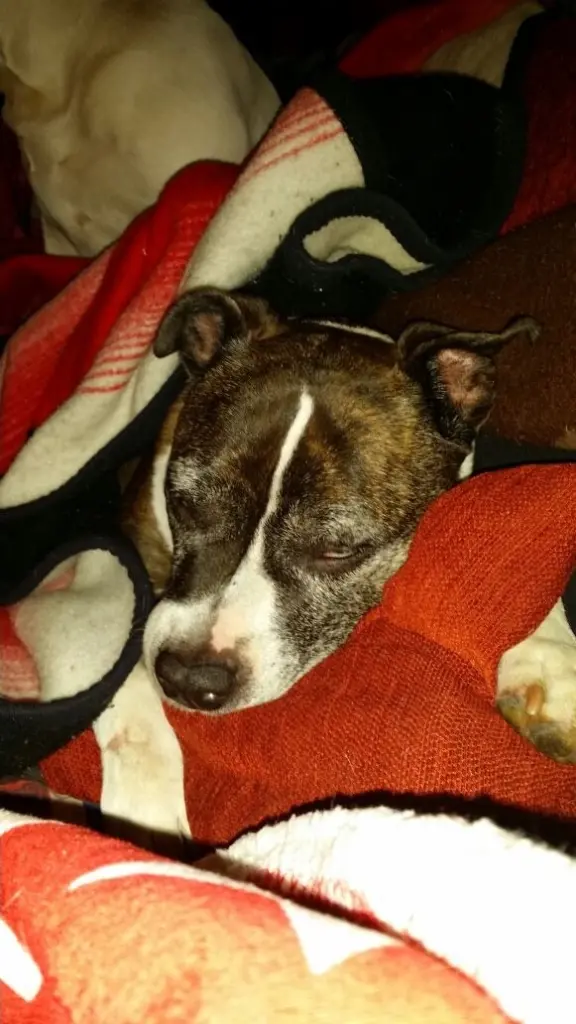 Andachtsbild von Alexa