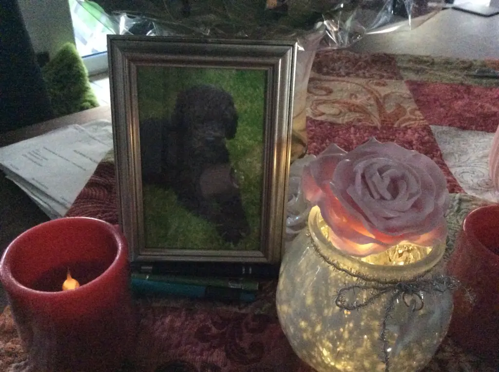 Condolence image of Heidi 