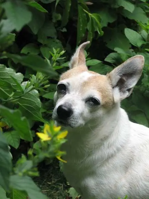 Condolence image of Unbekannt