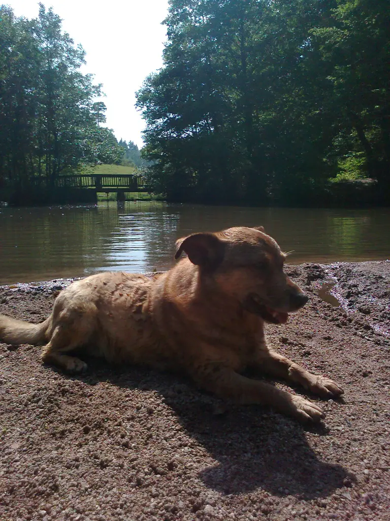 Condolence image of Elke