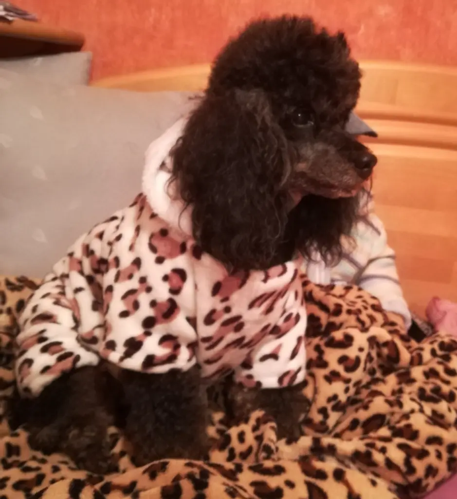 Condolence image of Elke