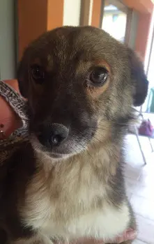 Condolence image of elke