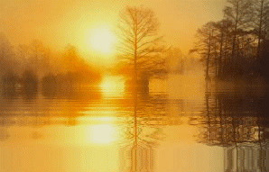 Condolence image of Elke