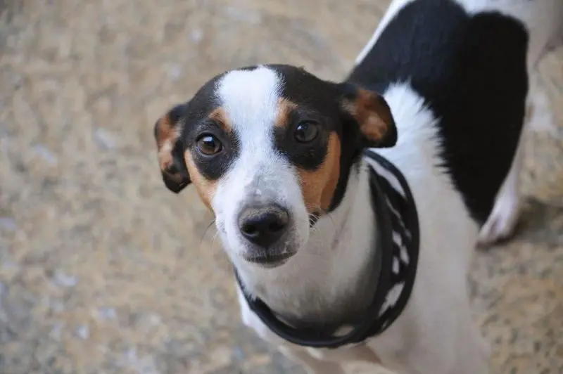 Condolence image of Elke