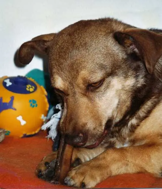 Condolence image of Elke