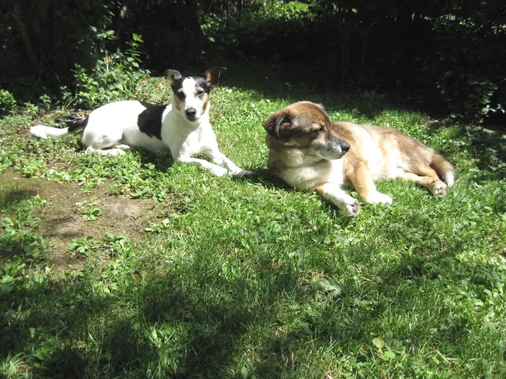 Condolence image of Elke