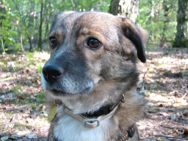 Condolence image of Elke