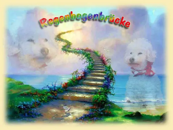 Condolence image of Peter