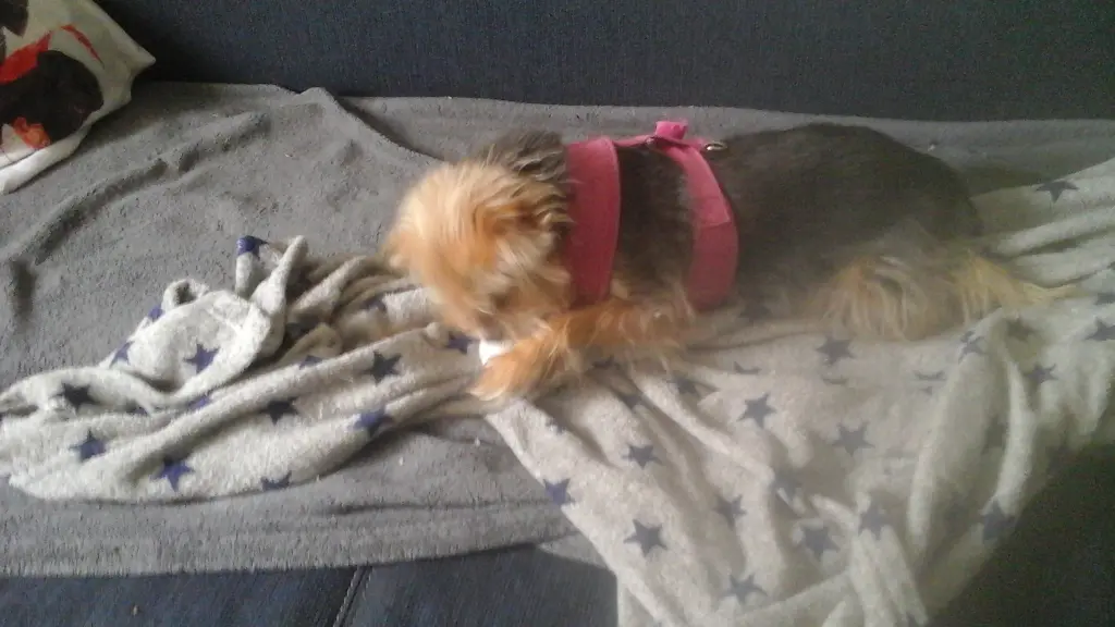 Condolence image of Beatrix Büge